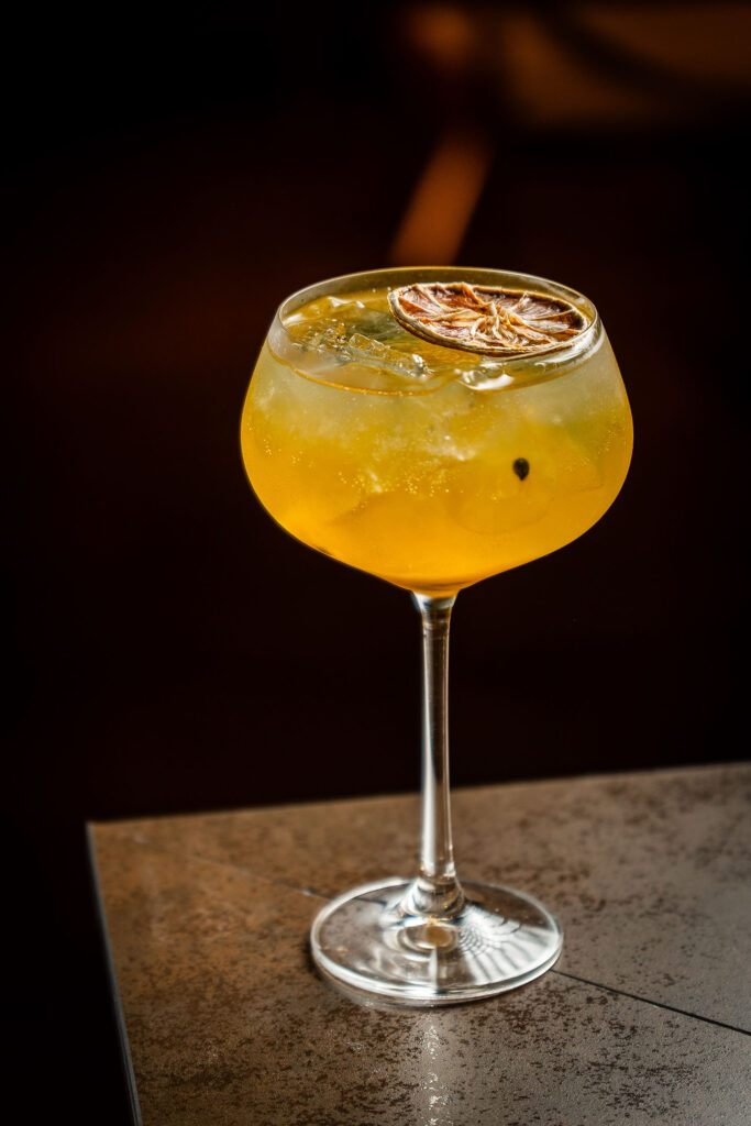 figueira da serra geral 037 1